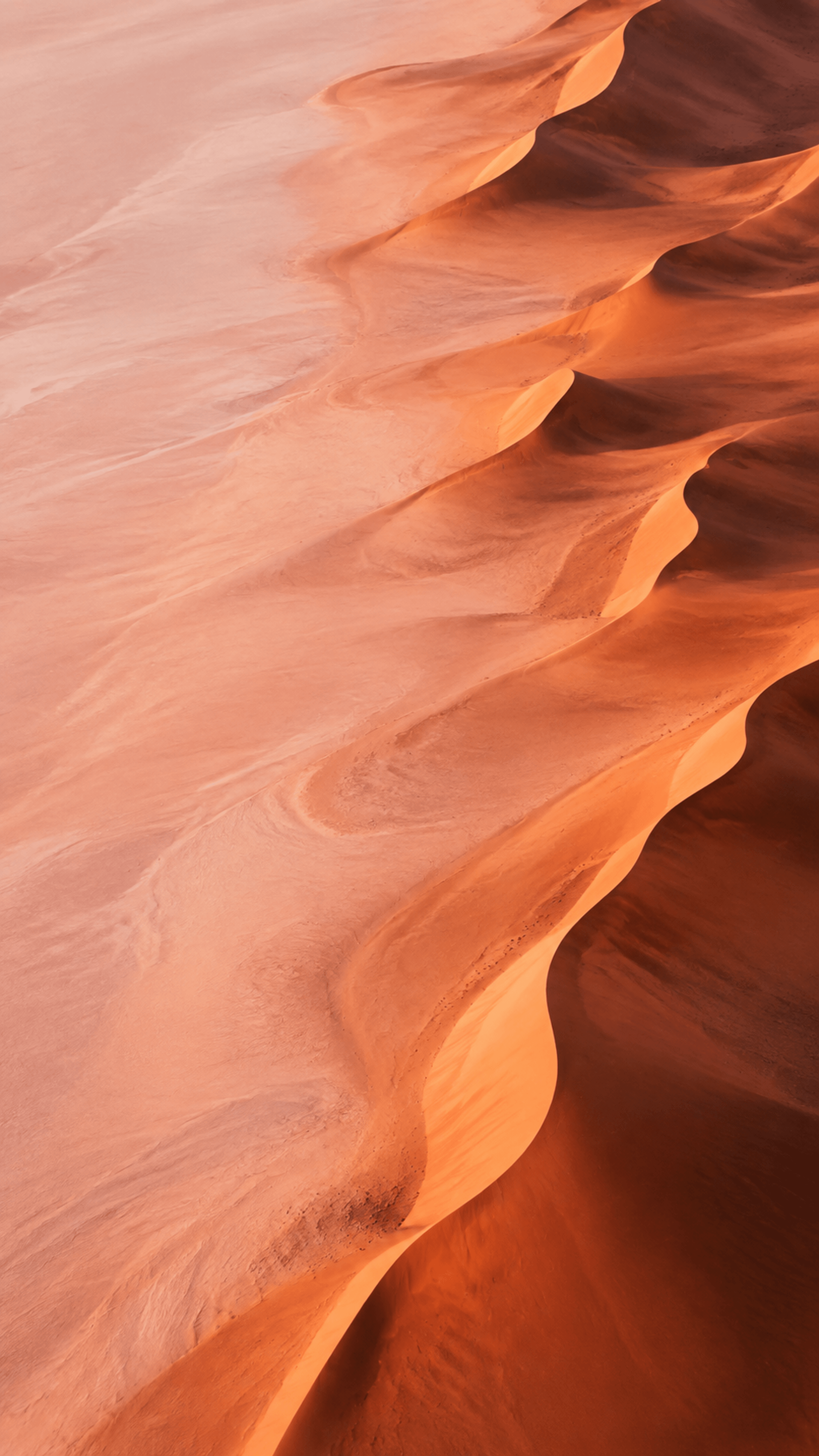 Copper Dune Shadow Nature phone wallpaper in high resolution