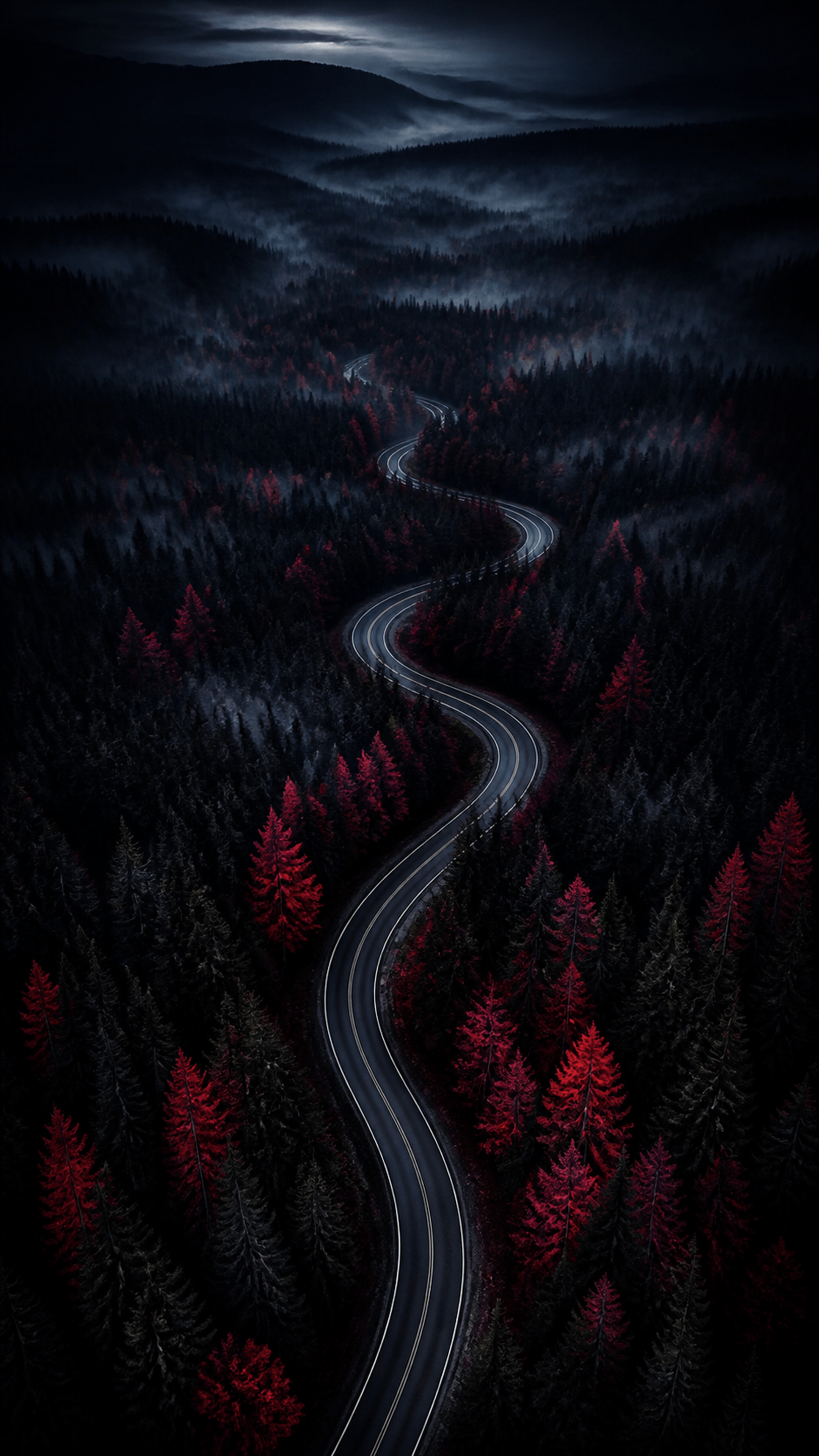 Crimson Midnight Road Nature phone wallpaper in high resolution